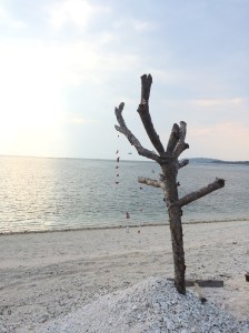 2015-12-26 17.05.32 copy