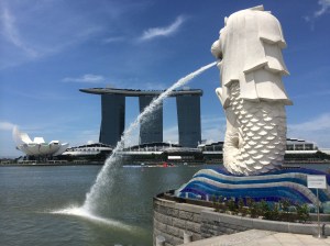 Foto 16-06-14 07 15 57