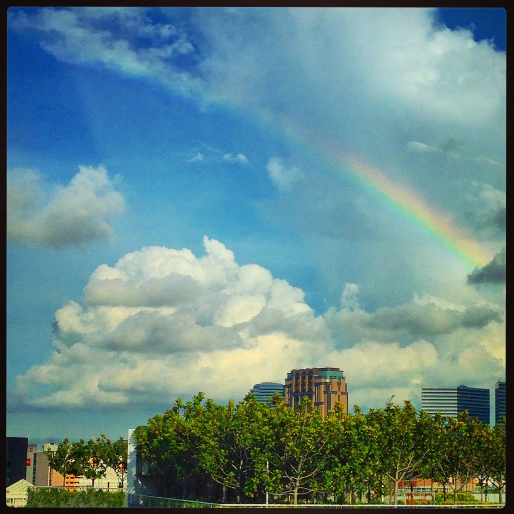 2014-11-28 17.21.04-1