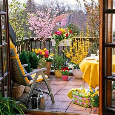 71ca90173891cd463d07fc9fd239031e