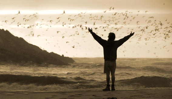 intothewild-destacada-medium